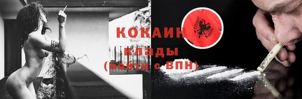 соль ск Богородск