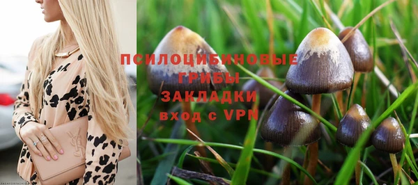 бошки Беломорск