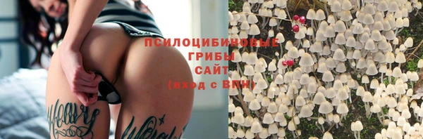 бошки Беломорск